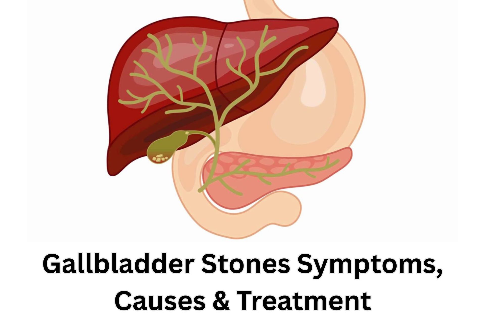 Liver and Gastrologist Doctors in khulna